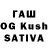 Псилоцибиновые грибы Magic Shrooms Raoul Teeuwen
