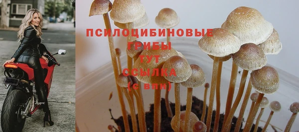 бутират Богородицк