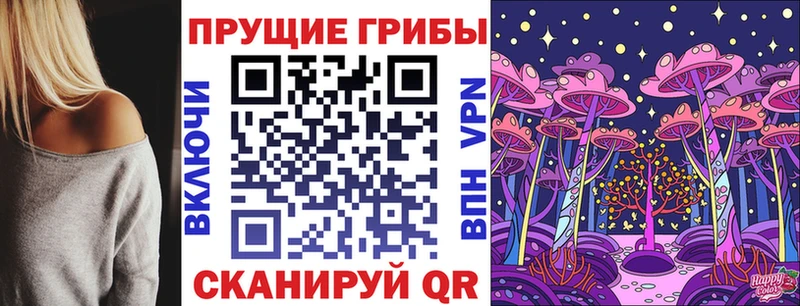 где найти наркотики  Кораблино  Галлюциногенные грибы Cubensis 